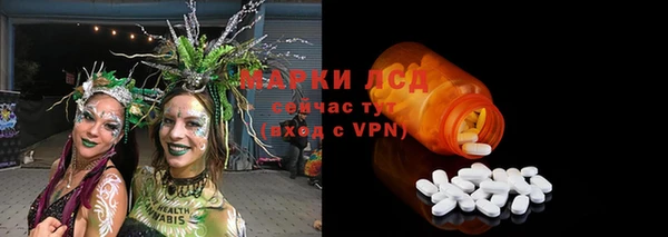 крисы Бронницы