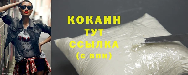 крисы Бронницы