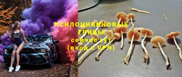 крисы Бронницы