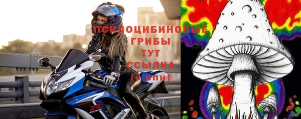 крисы Бронницы