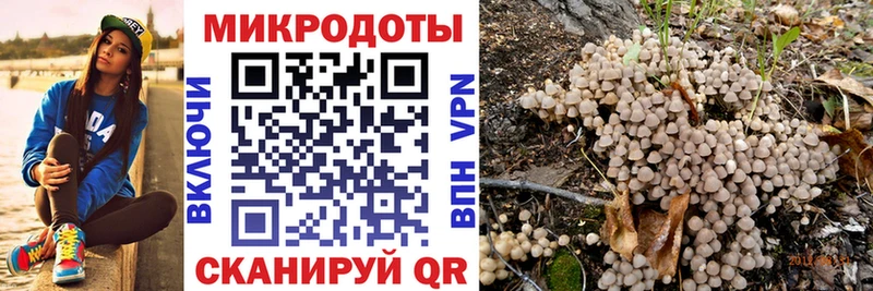 Псилоцибиновые грибы GOLDEN TEACHER  Торжок 